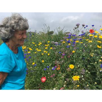 Photo for notice Joan GLANVILLE