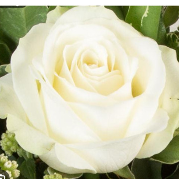 Photo for notice Joyce REDMORE