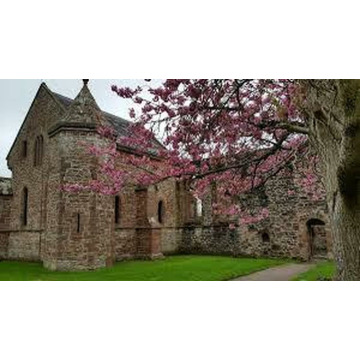 Photo of Ruth SINCLAIR - (WESTER BALBLAIR)