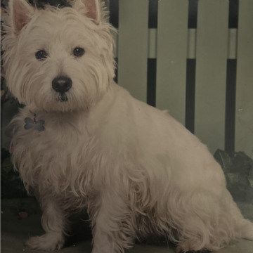 Photo for notice Wayne FEELEY