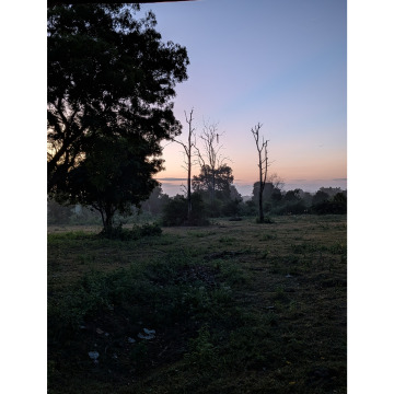 Photo for notice Judith Mabel Colling