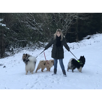 Photo of Alison GITTINS