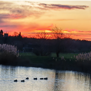 Photo for notice Lynette BATES