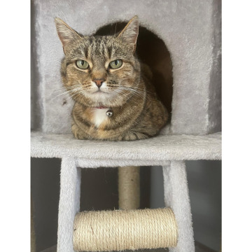 Photo for notice Carol BIRTWISTLE