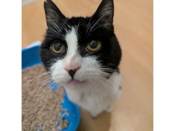 Photo for notice Stephen John BROPHY