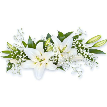 Photo for notice Mohinder Singh SOKHI