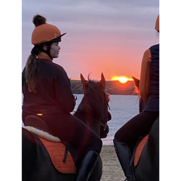 Photo for notice Lili HOWELLS