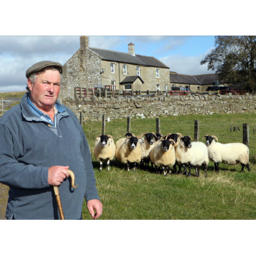 Photo of Robert Andrew ROBSON