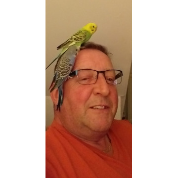 Photo of Michael HOWARTH