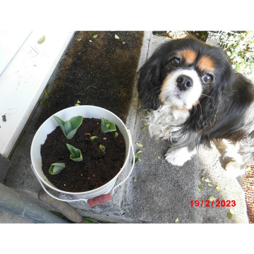 Photo for notice Jenifer POOLE