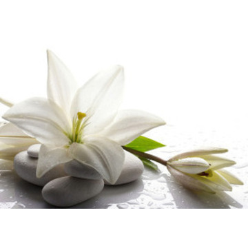 Photo of John Daniel MAWMAN