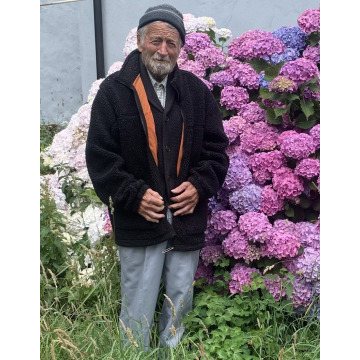 Notice Gallery for Hywel Lloyd DAVIES