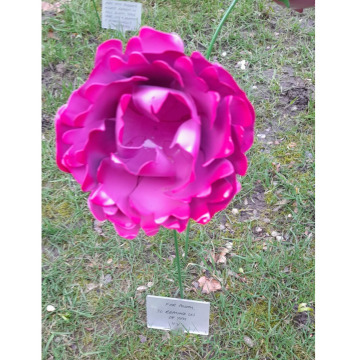 Photo for notice Enid SMITH