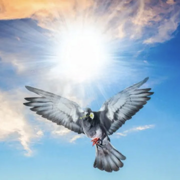 Photo for notice Denis 'Denny' HOLMES