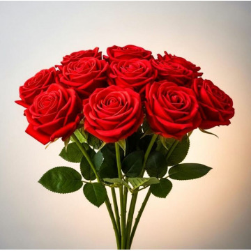 Photo of Christina TUACH - (MUIR OF ORD)