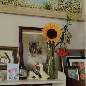 Photo for notice Stella BENTHAM