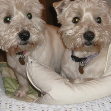 Photo for notice David Henry STUBBS