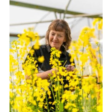 Photo for notice Tracy ROBBINS