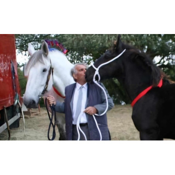 Photo of Gordon BAILEY