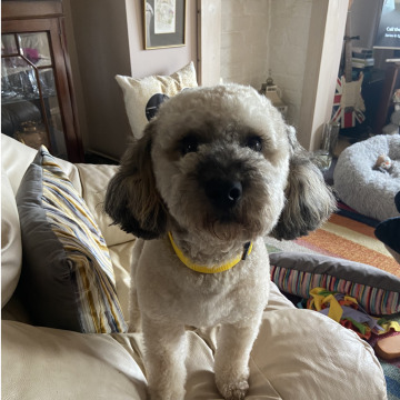 Photo for notice Barry Edward BAYNHAM