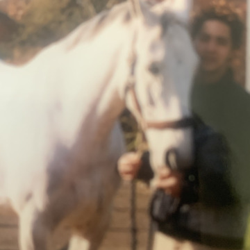 Photo for notice Harry SINGH CHANA