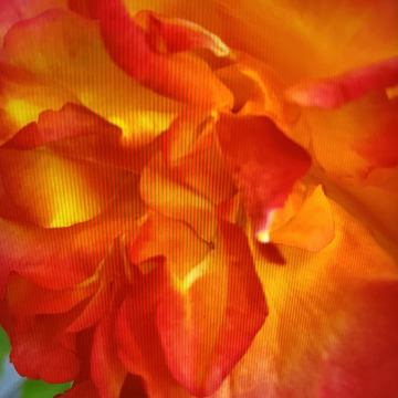 Photo for notice Muriel DENNISON