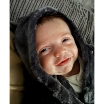 Notice Gallery for Alfie-Joe BURDON