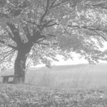 Photo for notice Leonard Ernest CODD