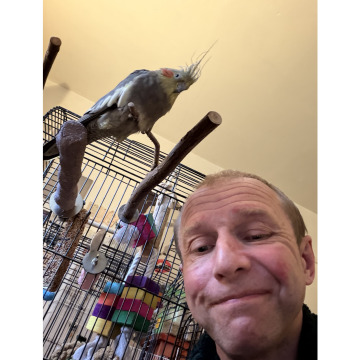 Photo for notice Gaynor SULLIVAN MBE
