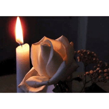 Notice Gallery for Norma ANNAND
