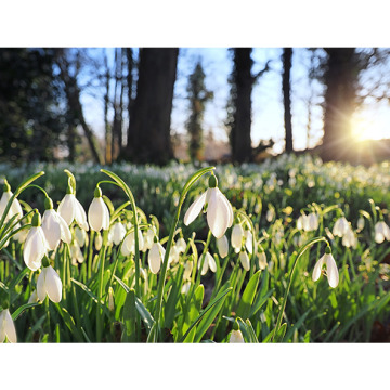 Photo for notice Sheila REED