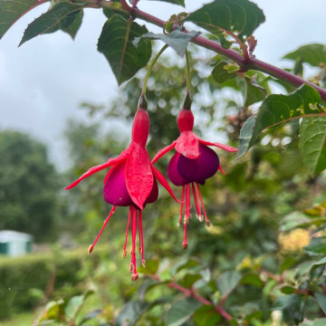 Photo for notice Myron 'Jon' Cooke 