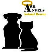 donation charity logo