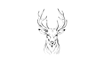 Medhurst Funeral Service